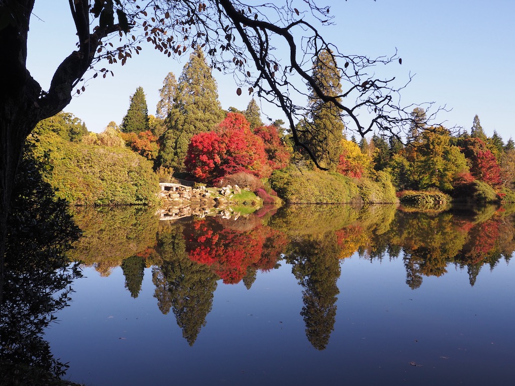 An autumnal scene of trees in varying shades reflected in a lake. A tree branch hangs down at the front of the shot.
