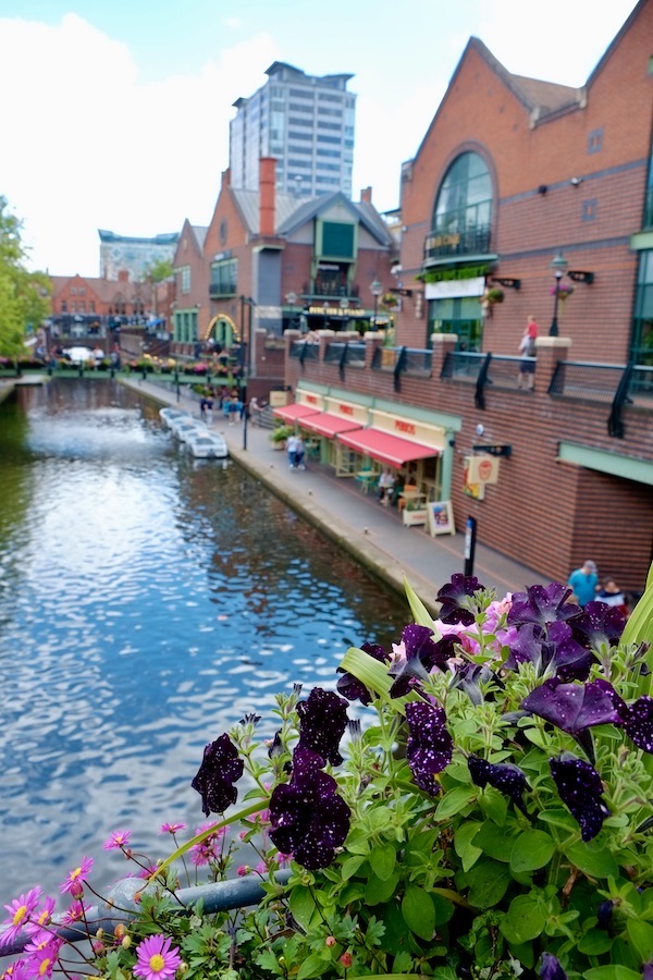 A view over a canal, with purple flowers in the foreground. 