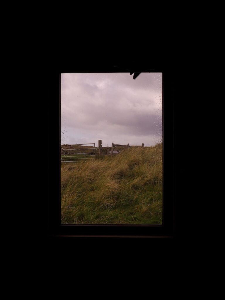 A photo taken through a window into the field beyond. 