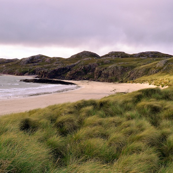 A beach surrounded by grass. The sky is moody overhead.